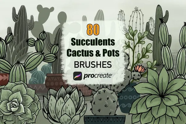 Procreate资源-多肉植物和花盆图案笔刷素材