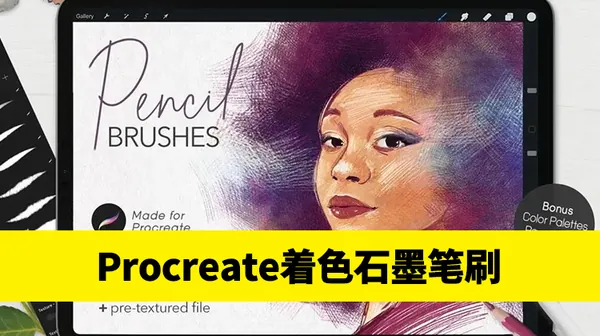 Procreate资源-着色笔&石墨笔效果终极Procreate笔刷素材