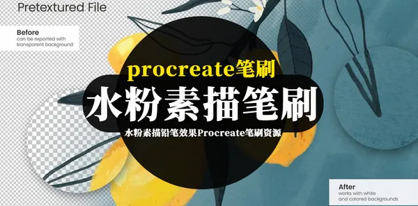 Procreate资源-水粉素描铅笔效果Procreate笔刷资源下载