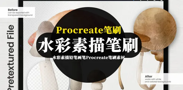 Procreate资源-水彩素描铅笔画笔Procreate笔刷素材合集