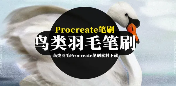 Procreate资源-鸟类羽毛Procreate笔刷素材下载