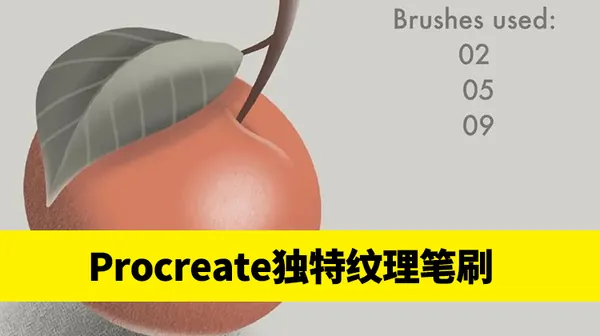 Procreate资源-10款适合大部分场景的procreate神仙纹理画笔