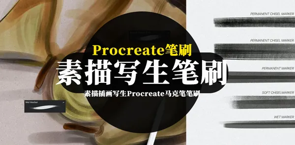 Procreate资源-素描插画写生Procreate马克笔笔刷资源素材下载