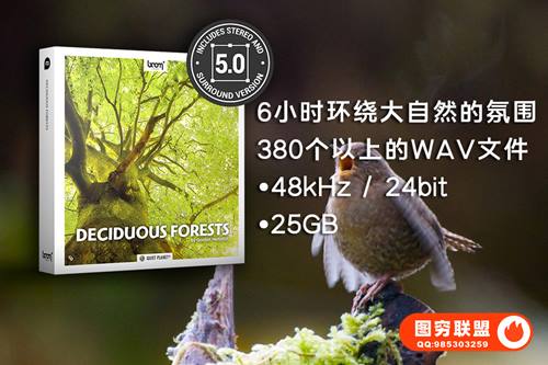 [音效]192组大自然雨林森林环境虫鸣鸟叫环绕立体无损音效 Deciduous Fores