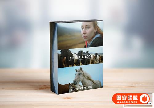 [调色预设]ThiagoVibesp -4款用于佳能LOG，Sony S-LOG，BMPC