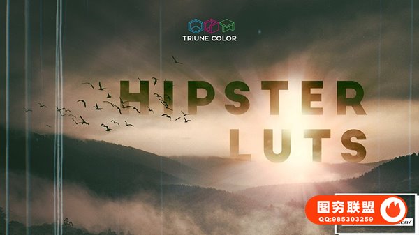 [调色预设]35组时髦文艺青年电影LUTS调色预设 Triune Digital -Hip