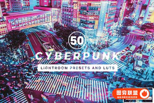 [调色预设]50款赛博朋克风未来科幻色彩Lightroom预设LUT调色预设 50 Cyb
