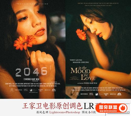 [PS/LR预设]8款王家卫电影胶片复古港风人像调色滤镜PS/LR调色预设