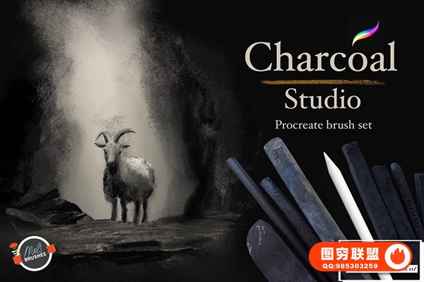 [Procreate笔刷]15支手绘炭画干介质效果木炭绘画iPad笔刷 Charco