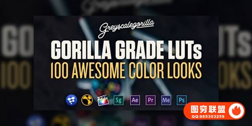 [调色预设]灰猩猩出品 100种LUTs电影调色预设合辑 GreyScaleGorilla