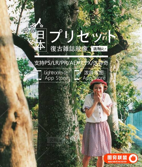 [调色预设]35款日系杂志复古胶片人像博主风PR视频LUT调色LR手机预设