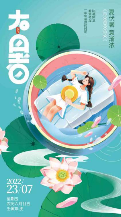 传统节气大暑竖版视频AE模板