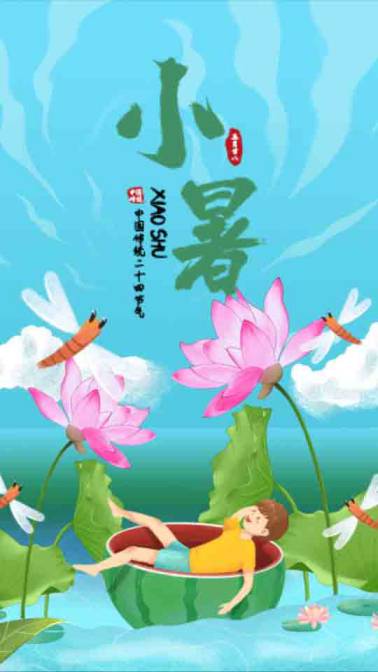 清新荷花二十四节气小暑视频AE模板