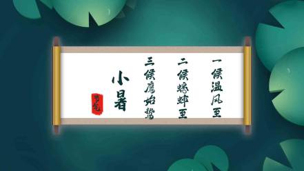 小暑开头片尾短片视频PR模板