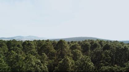 无人机航拍森林景色