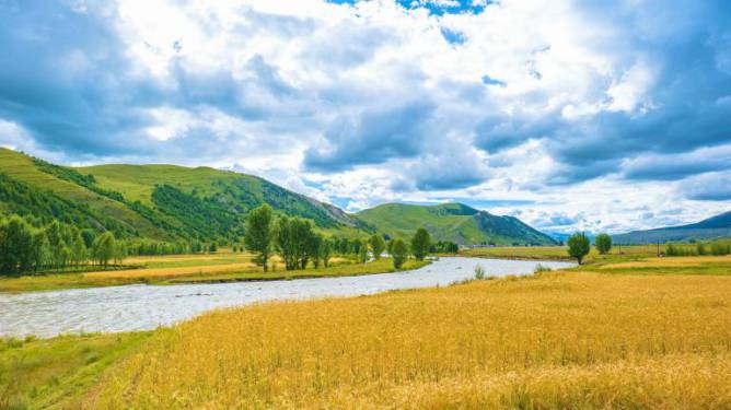 8K高原青稞丰收季青山绿水风光