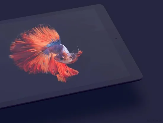 20个苹果iPad Pro 12.9寸4k高清展示模型样机（含PSD和sketch源文件）