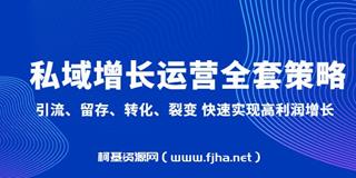 私域增长运营全套策略-网盘
