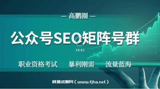高鹏：公众号SEO矩阵项目价值980元