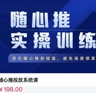 飞哥随心推投放系统课价值198元