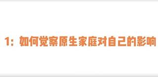 赛维原生家庭系列（13集视频）