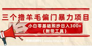 外面卖998的三个撸羊毛偏门撸金项目，小白零基础照抄日入100+
