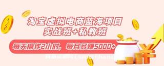 淘宝虚拟电商蓝海项目实战班+私教班-网盘