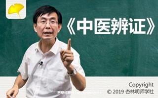 吉林名师学社：张景明《中医辨证》价值699元