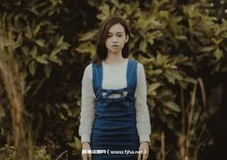 感觉流文章整合[价值5000元]
