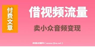 毛小白：借视频流量，卖小众音频变现-百度云网盘高清
