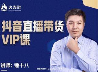 锤十八：抖音直播带货VIP课-网盘高清
