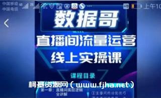 数据哥直播间流量运营线上实操课+千川落地课价值696元