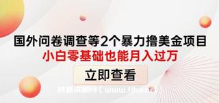 国外问卷调查等2个暴力撸美金项目，小白零基础也能月入过万