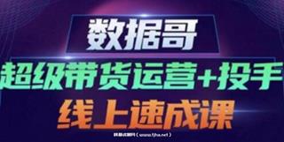 数据哥·超级带货运营+投手线上速成课价值4980元