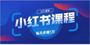 九京小红书精准引流课程1.0：如何利用小红书快速获取客源，每月多赚1万