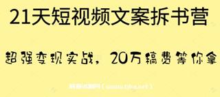 叶小鱼：21天短视频文案拆书营-网盘高清