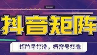 高鹏圈·抖音带货矩阵项目价值1599元