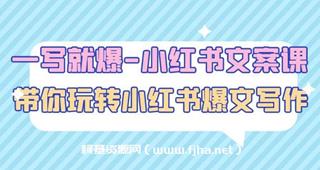 一写就爆-小红书文案课-网盘