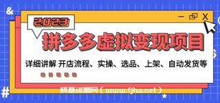 拼多多虚拟变现项目-网盘