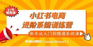 小红书电商进阶系统训练营：新手从入门到精通系统课-网盘