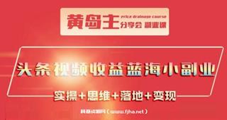 黄岛主《头条视频收益蓝海小副业》