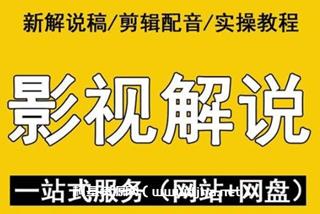 嚴如意·中视频影视解说—掌握流量密码价值980元