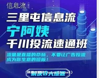 三里屯信息流·宁阿姨千川投流速通班-第二期