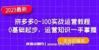 拼多多0-100实战运营教程