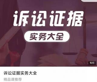 职未来：诉讼证据实务大全
