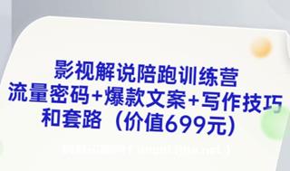影视解说陪跑训练营，从新手进阶到成熟自媒体达人价值699元