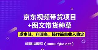 京东视频带货项目+图文带货种草-网盘