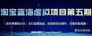黄岛主：淘宝蓝海虚拟项目五期