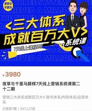 夜草与千里马薛辉7天线上营销系统课第二十二期-