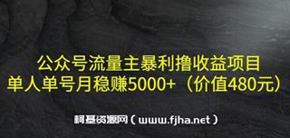 高鹏-公众号流量主暴利撸收益项目-网盘